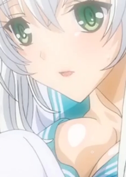 ȻŮȰǥ󥱥~ THE ANIMATION BT