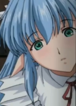 ι THE ANIMATIONѸ