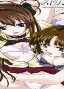 󥸥뤿Υץ饤٩`ȥå ACT10BT