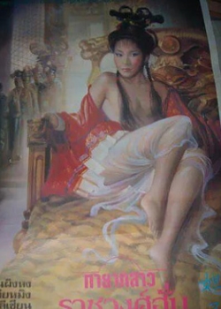 槼BT