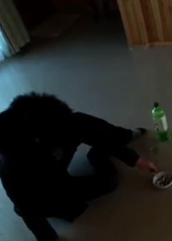 Ѹ