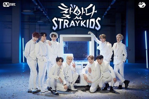 ҵStray KidsƪѸ