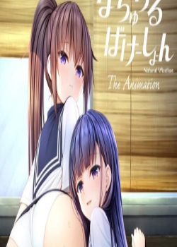 ʤФ` THE ANIMATION(Ѹ