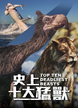 ʮҰѸ