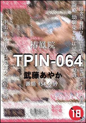 TPIN-064Ѹ