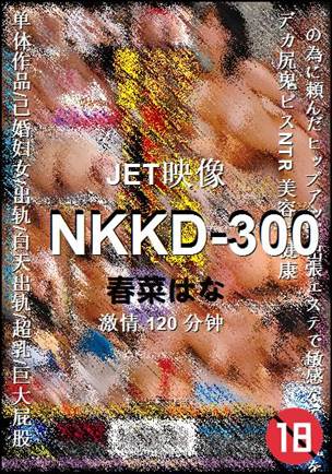 NKKD-300Ѹ