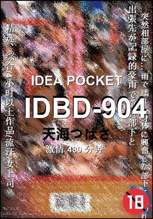 IDBD-904Ѹ