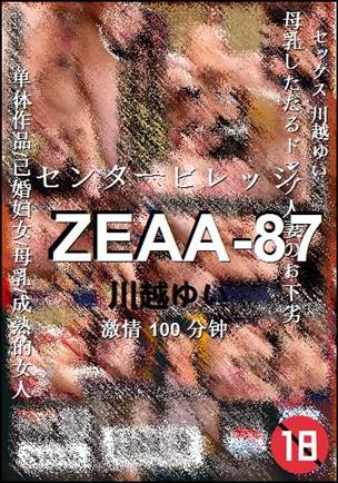 ZEAA-87BT