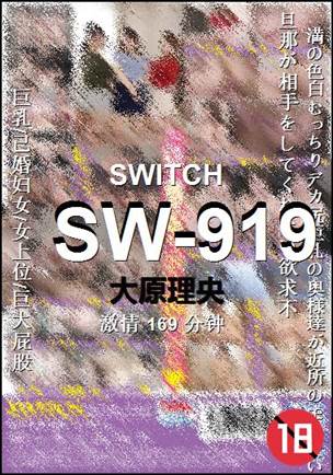 SW-919BT