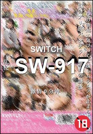 SW-917Ѹ