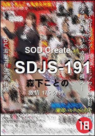 SDJS-191Ѹ