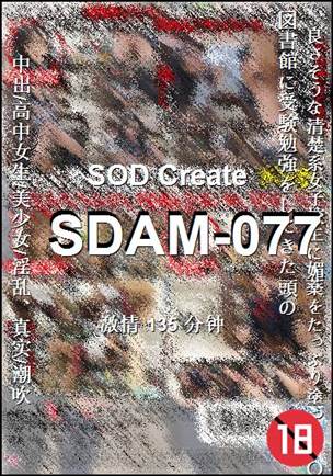SDAM-077Ѹ
