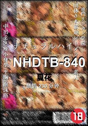 NHDTB-840Ѹ