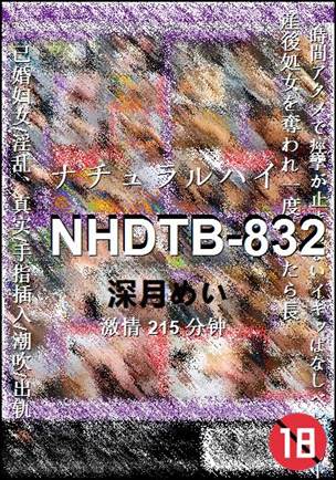 NHDTB-832BT