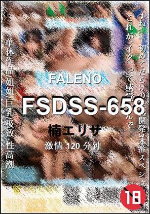 FSDSS-658BT