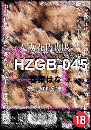 HZGB-045Ѹ