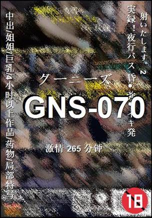 GNS-070BT����