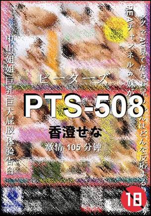 PTS-508BT