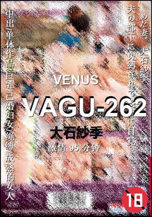 VAGU-262BT