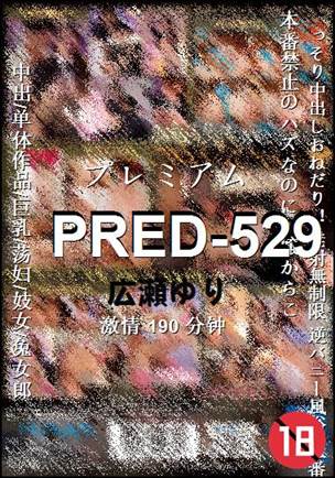 PRED-529Ѹ