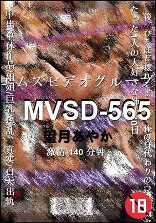MVSD-565Ѹ