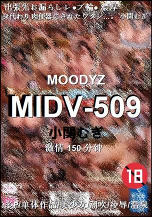 MIDV-509Ѹ