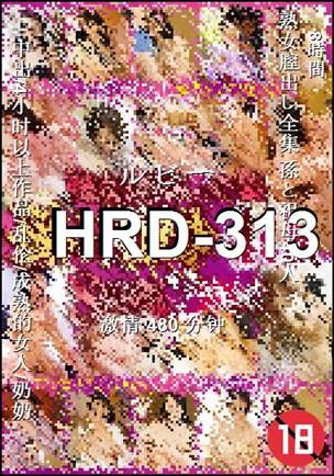 HRD-313Ѹ