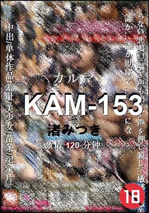 KAM-153Ѹ