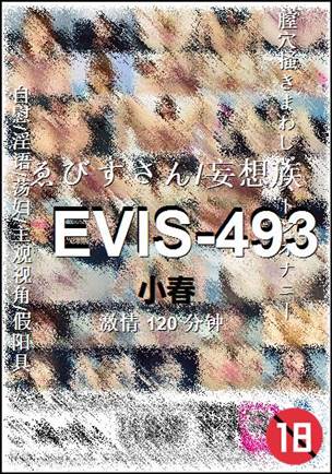 EVIS-493Ѹ