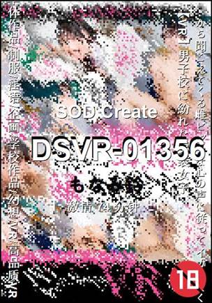 DSVR-01356BT