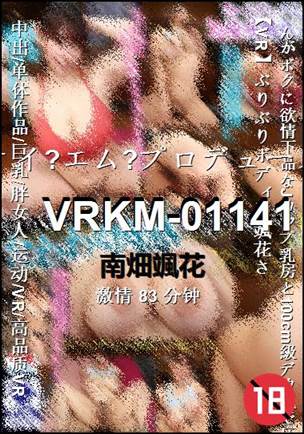 VRKM-01141Ѹ