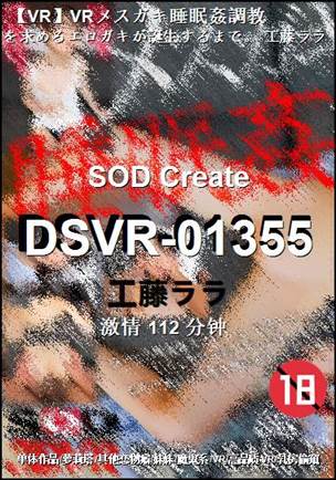 DSVR-01355BT