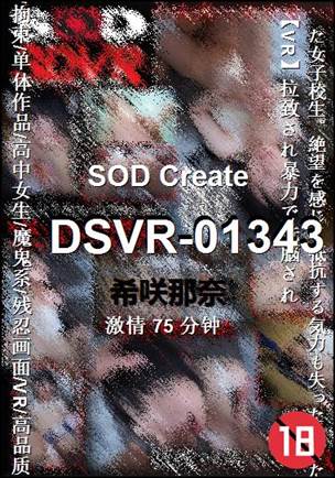 DSVR-01343BT