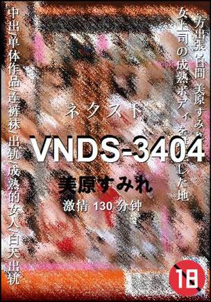 VNDS-3404Ѹ
