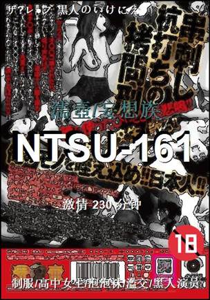 NTSU-161BT