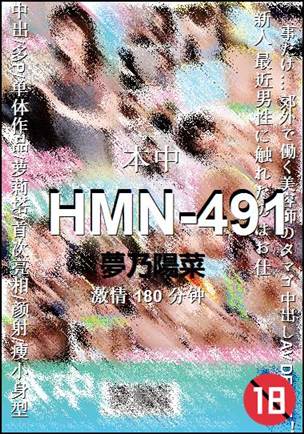HMN-491Ѹ