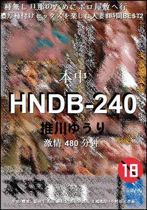 HNDB-240Ѹ