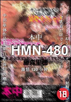 HMN-480Ѹ