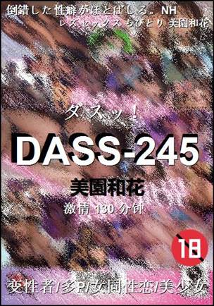 DASS-245BT����