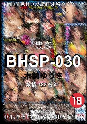 BHSP-030Ѹ
