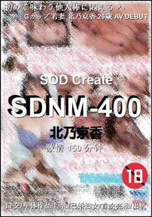 SDNM-400Ѹ