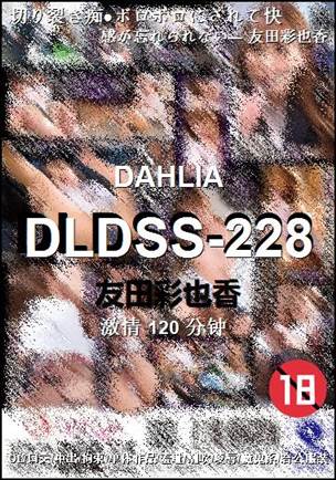 DLDSS-228BT