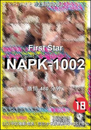 NAPK-1002Ѹ