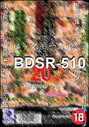 BDSR-510Ѹ