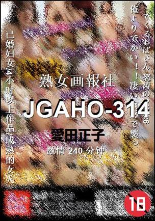 JGAHO-314BT