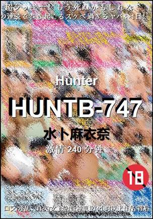 HUNTB-747Ѹ
