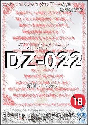 DZ-022Ѹ