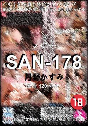 SAN-178Ѹ
