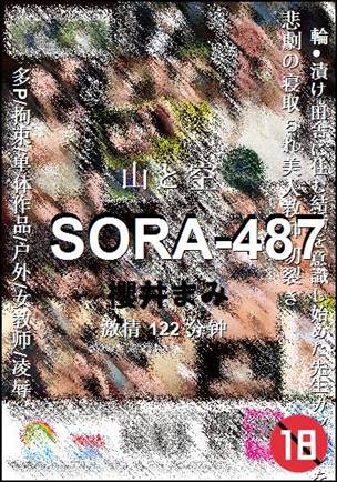 SORA-487BT