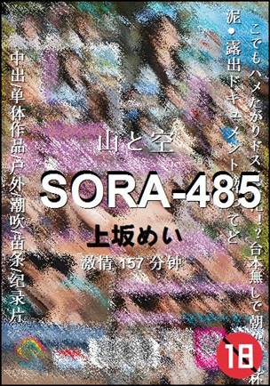 SORA-485Ѹ